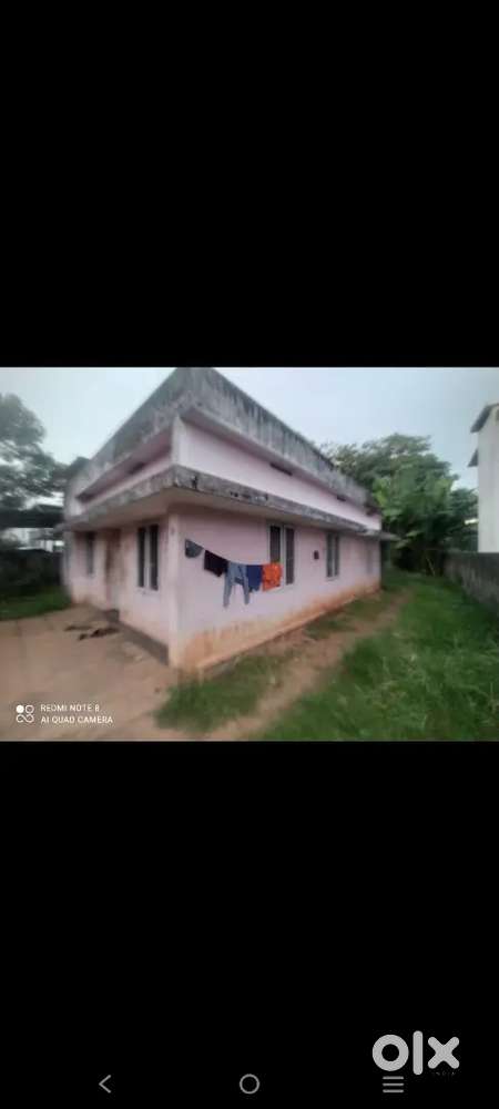 6.5 CENT RESIDENTIAL SQUAR PLOT SALE AT PALARIVATTOM BRIDGE NEAR