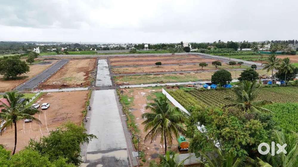 Plots for sale Near Asian Cristian School Bagalur Road Hosur