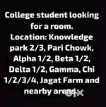Need a roommate? Check my ad!
