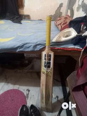 Best cricket bat leather ball bat ss