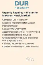 Waiter Food and Beverage