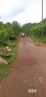 आडेली वेंगुर्ला येथे बागायती प्लॉट व फार्महाऊस विकणे आहे