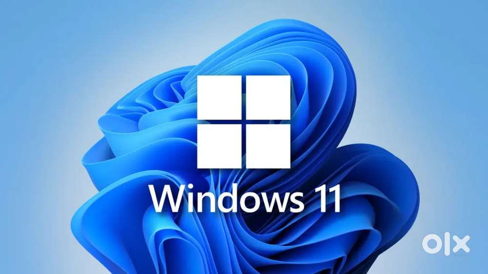 OS and ms office installation