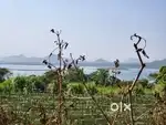 21000 Sq ft Dam View Land for Sell