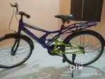 Blue Yellow Ranger Cycle