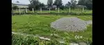 Litchu bagan/ Naxalbari