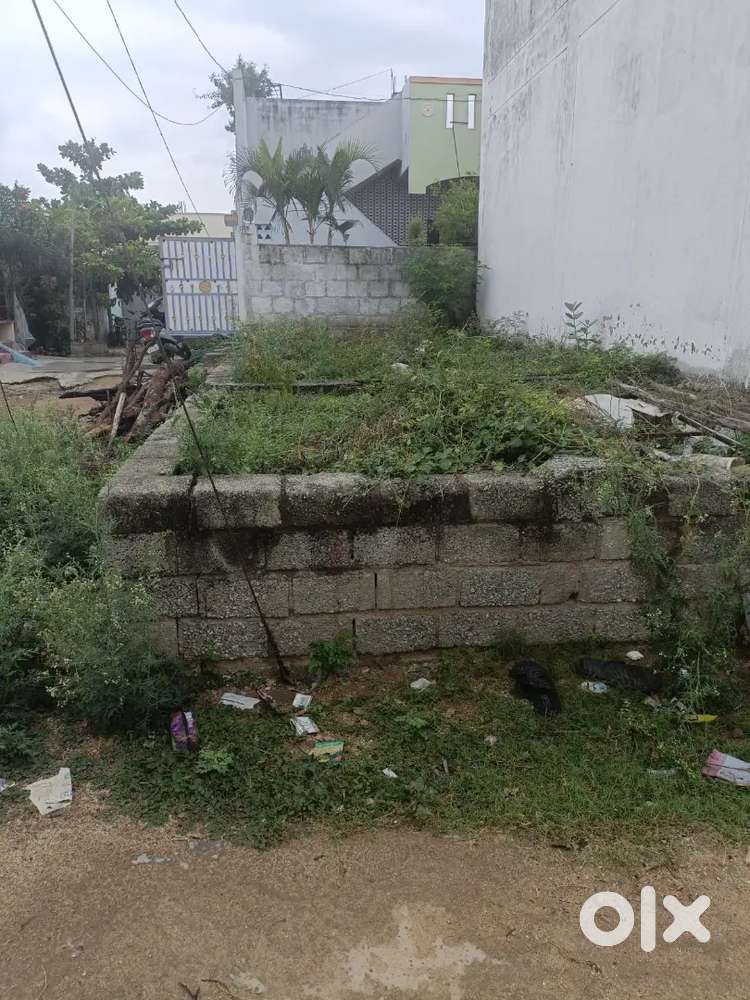 House and my own plot