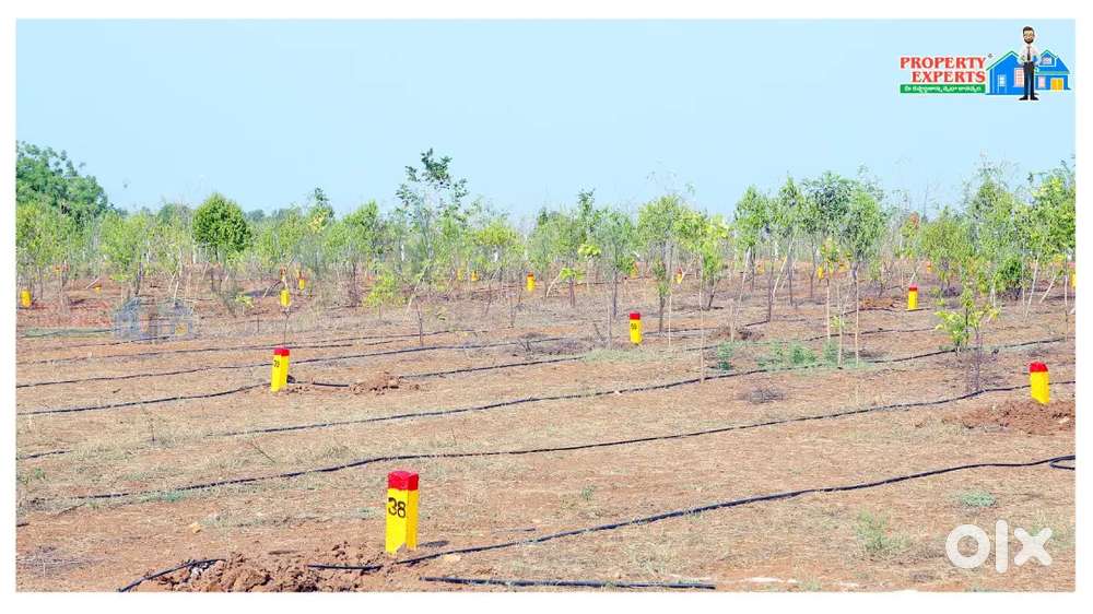 Property expert team mi future ki nandi palukutunnam