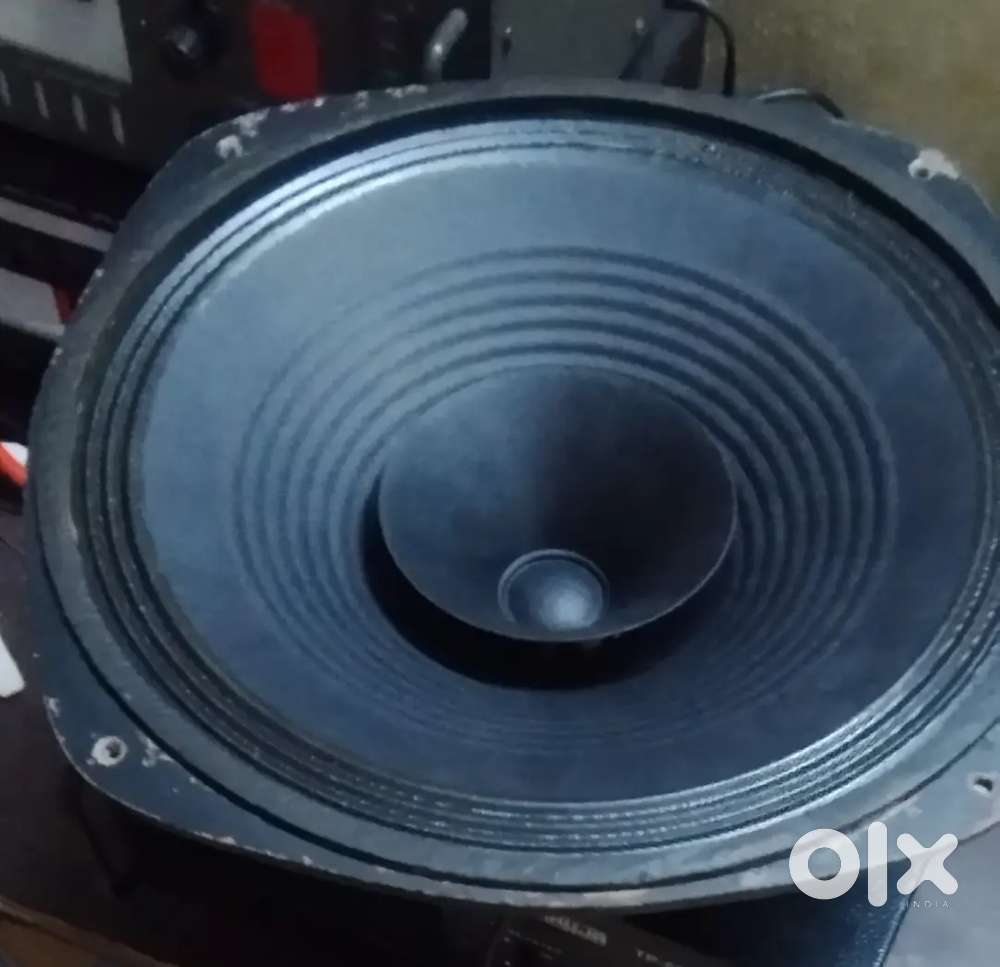 Makasonic 12 inch 60 watt speaker