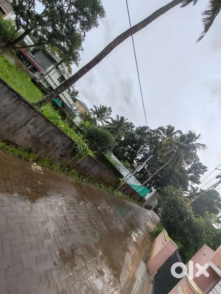 Residential Plot in Manjummel
4 cents