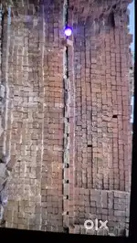 DM1 डमी घोल