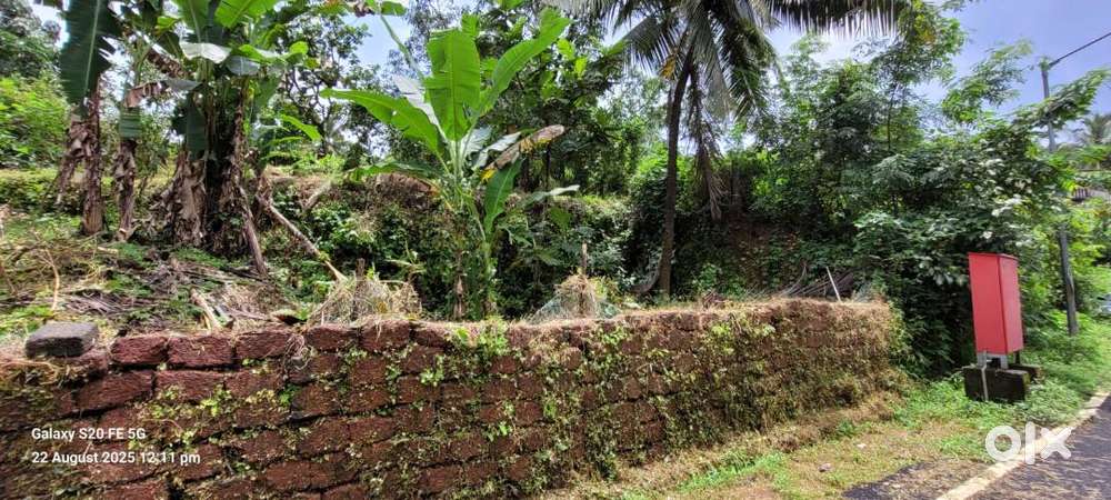 Clear-Title Property Plot Available on Panjim-Margao bypass farmagudi