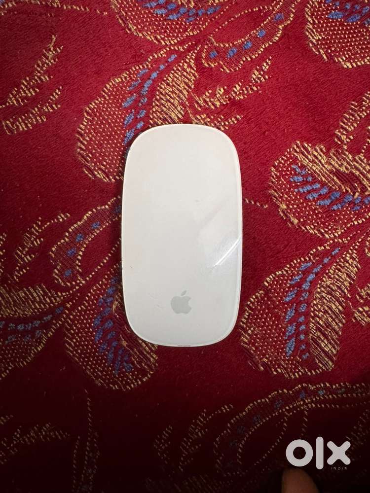 Magic mouse 2