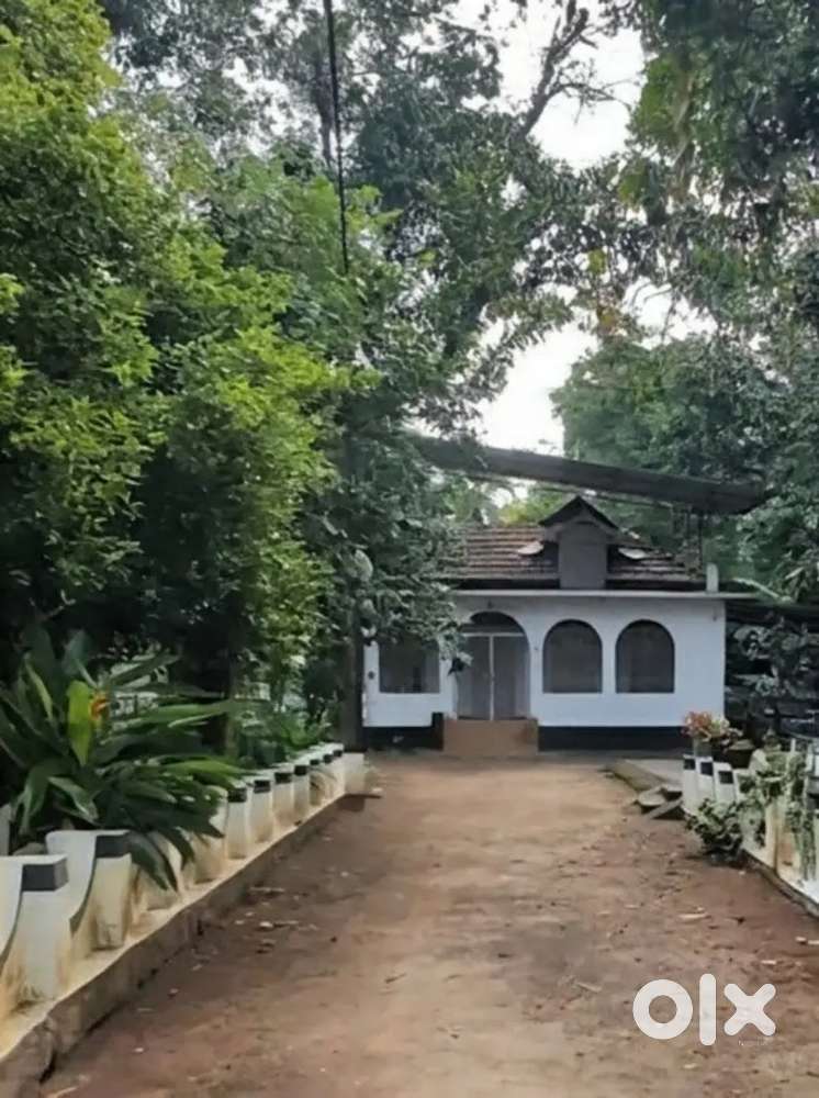 3BHK Independent House for Rent at Koratty