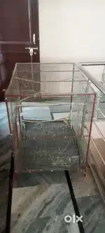 Bird cage for sale