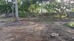 50 cents for sale near Kaniyapuram , Kadinamkulam