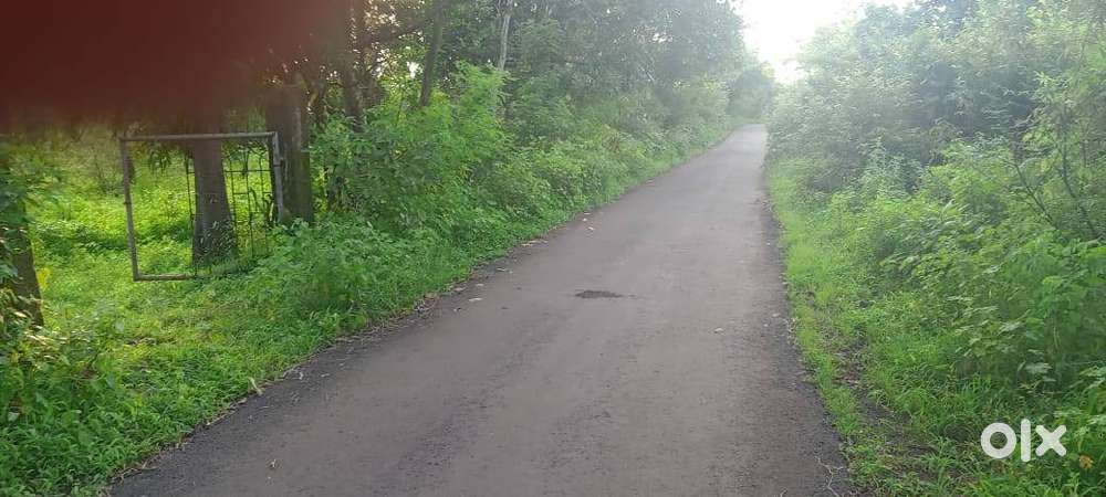 Road Touch Agriculture Plot Sale in Mangaon Nizampur Road