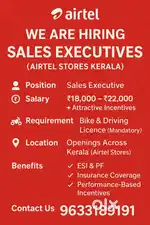 Sales executive