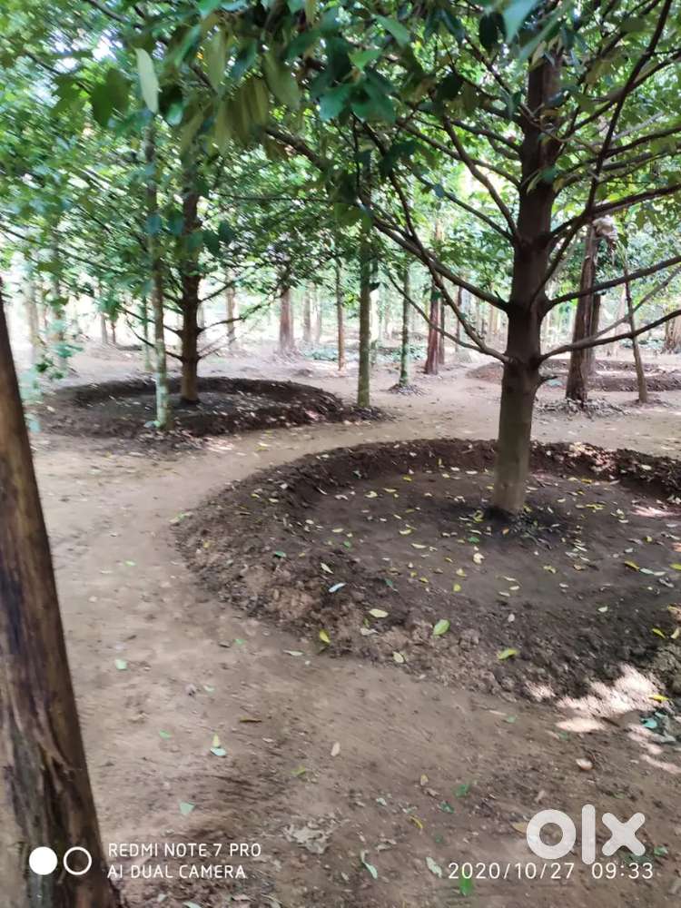 10 cents, 6.5 cents, 8.5 cents, 13 cents