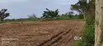 Agricultural land