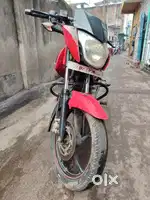 Pulsar 135 LS
