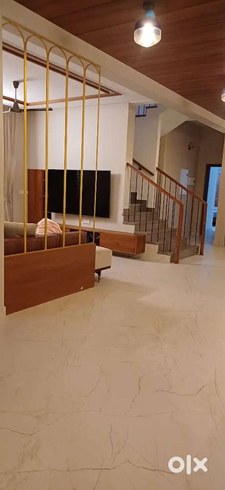 Designer/interior designer /3D visualiser