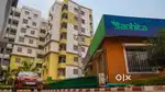Roof top garden flat at Sanhita