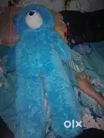 Teddy   bear