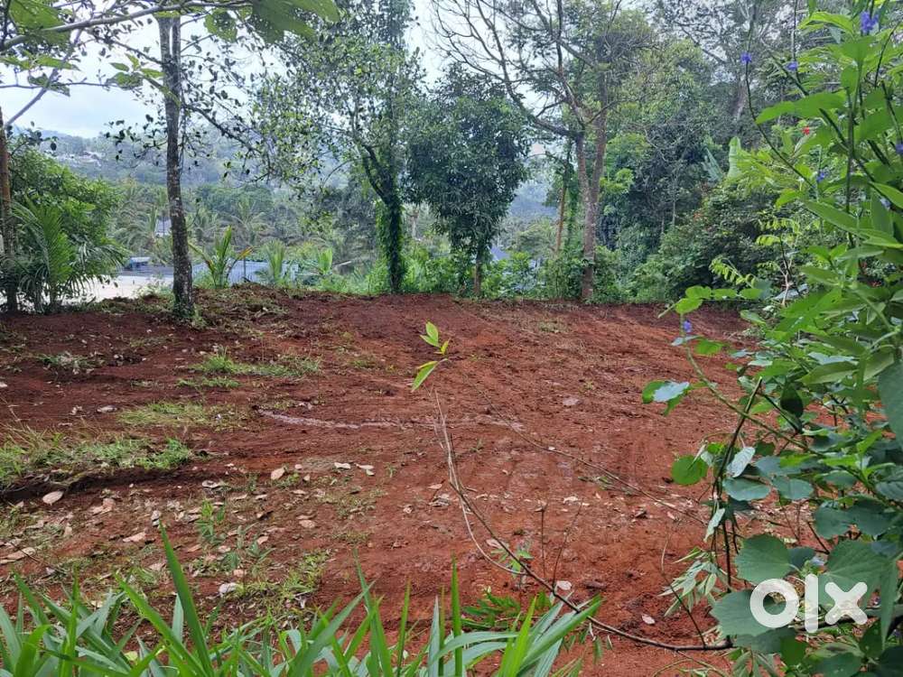 Ideal plot for Residential purpose