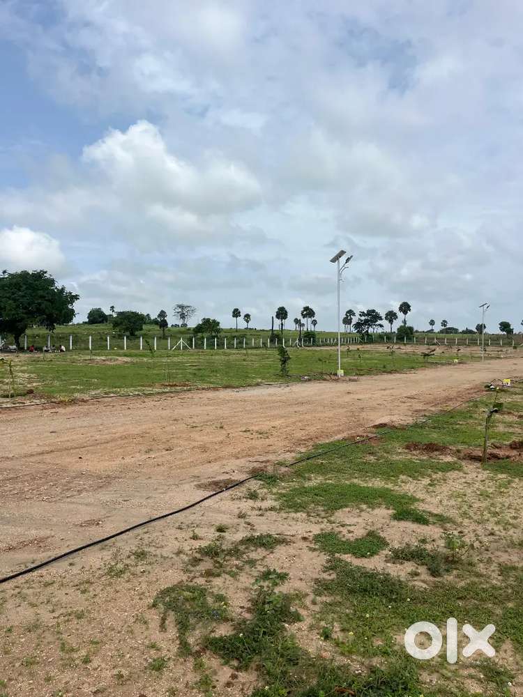 From Coimbatore, Just a Drive Away – Your Own Farm Land Awaits