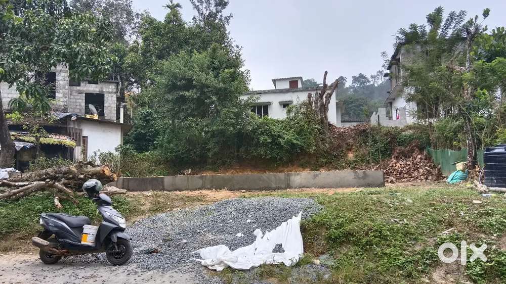 കൽപ്പറ്റ മേപ്പാടി റോഡിൽ പാലവയലിൽ സ്ഥ ലം വിൽപ്പനക്ക്