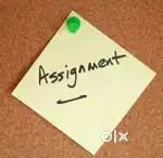 Assignment, project etc