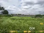 30x50 Premium Plot  Near HCL, Jigani–Electronic City  E-Khata site