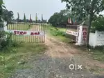Low price plot for sale