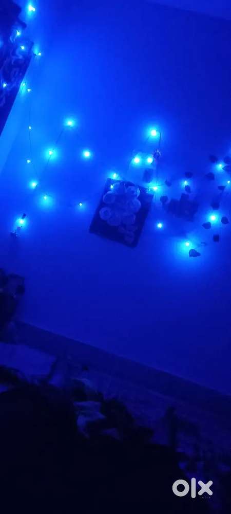 Need a female flatmate