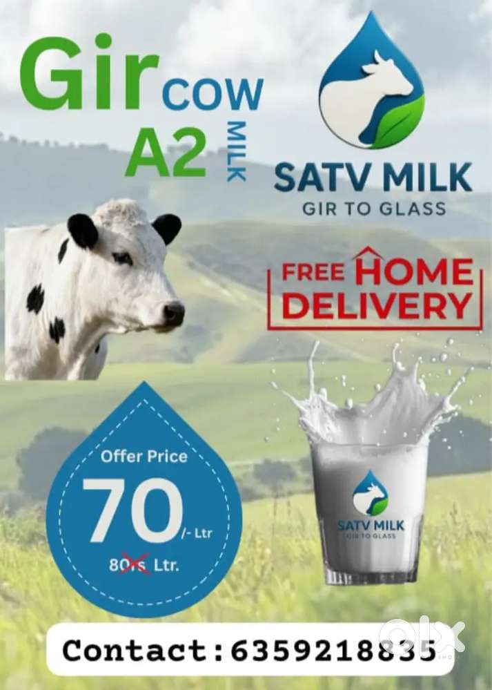 Gir Cow A2Milk