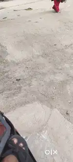 Vaidhegi.a