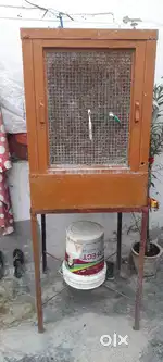 A 1 condition