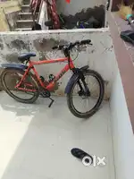 Child cycle