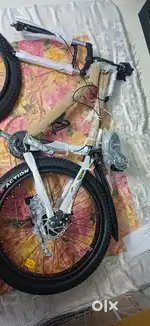 Proxima sports cycle