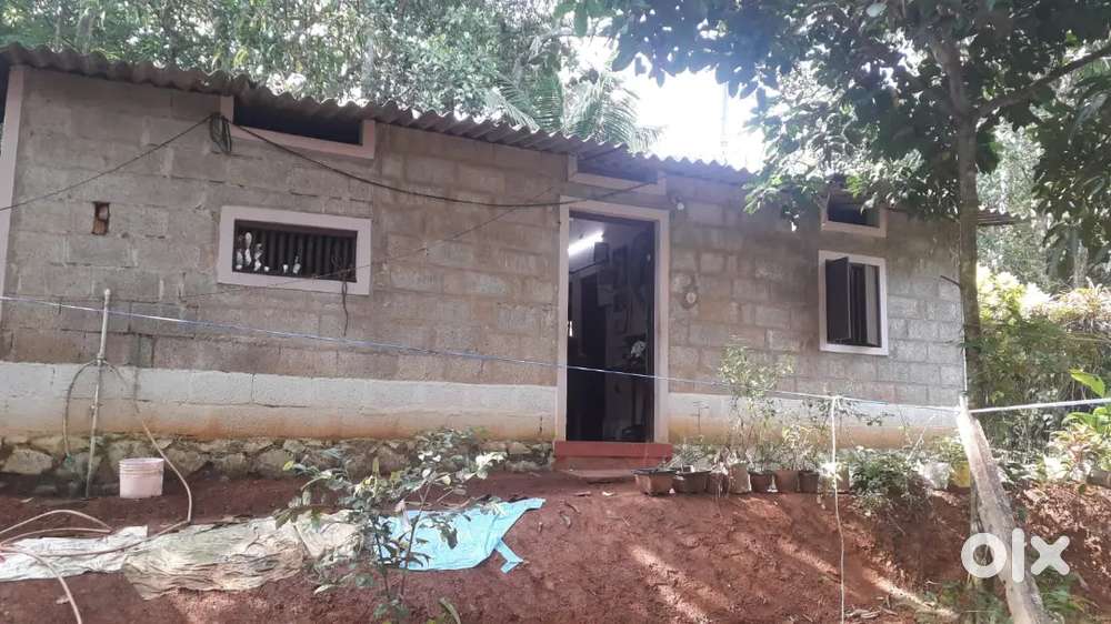 Venganoor near venniyoor 23 cent for sale