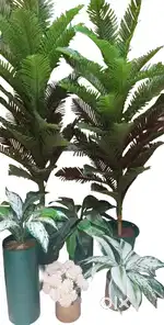 Artificial Plants