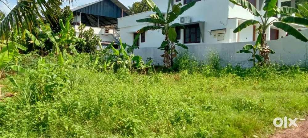 8 cent Plot Perumpuzha just 500 meter From NH,