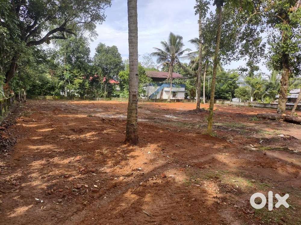 20 Cents Residential Plot for sale in Adoor.