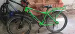 It is 6 month old cycle