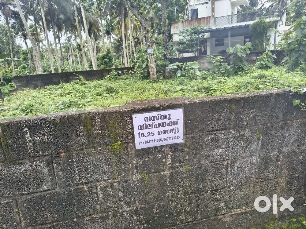 Plot for sale @ KARYAVATTOM