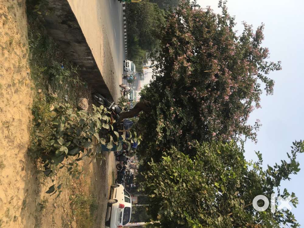 English spoken trainer