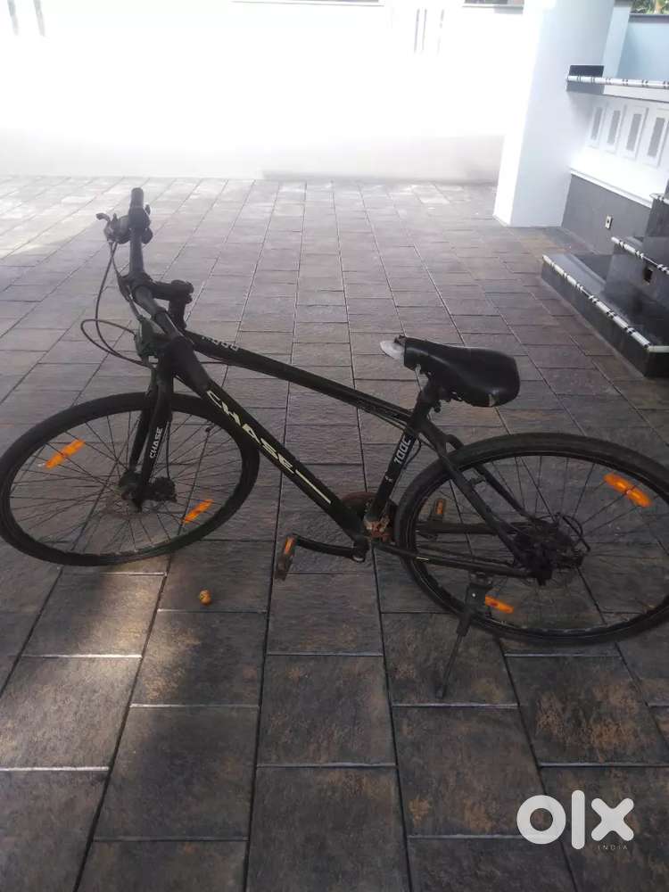 Price for this cycle