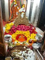 Haryana 24 kille Zameen for sale