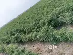 10 Acres agriculture land for sale with water facility.